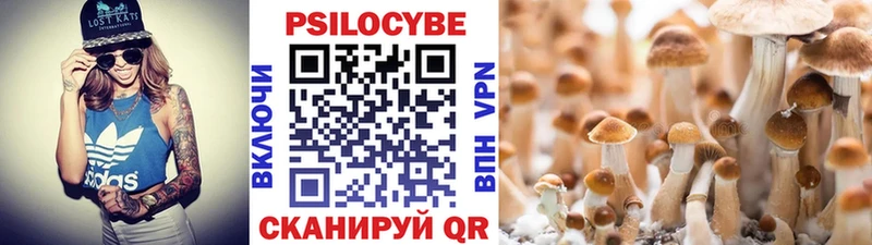 Галлюциногенные грибы мухоморы  закладки  Кызыл 